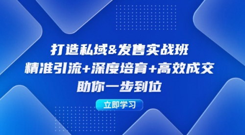 [支持免费下载]【2024年私域&发售实操班：精准引流+深度培育+高效成交，打造私域印钞机】