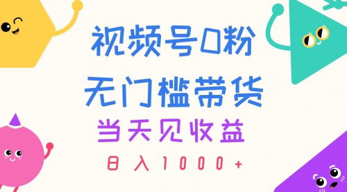 [支持免费下载]《视频号0粉带货实操：快速变现，日入1000+的简单方法》