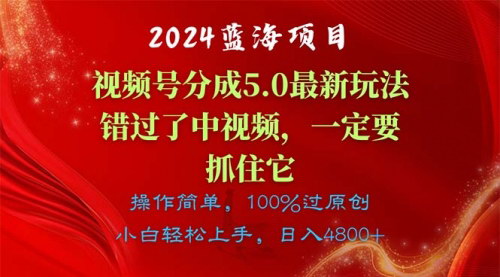 [支持免费下载]《视频号创作者分成5.0：掌握最新玩法，实现单日1000+的收益》