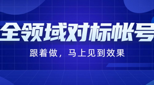 [支持免费下载]【全领域对标账号】快速涨粉攻略，实现跨领域增长