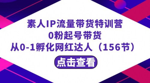 [支持免费下载]素人IP流量带货特训营：从0粉到网红达人，短视频带货全攻略