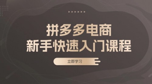 [支持免费下载]拼多多电商新手快速入门课程：从基础到实战，轻松掌握选款与运营技巧