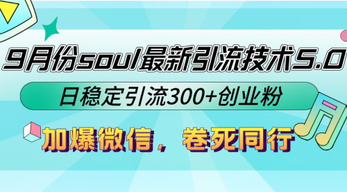 [支持免费下载]【2024年SOUL平台最新引流技术5.0：日稳定引流300+创业粉】