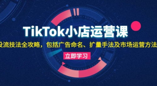 [支持免费下载]【TikTok小店运营全攻略】投流技法与市场运营方法深度解析