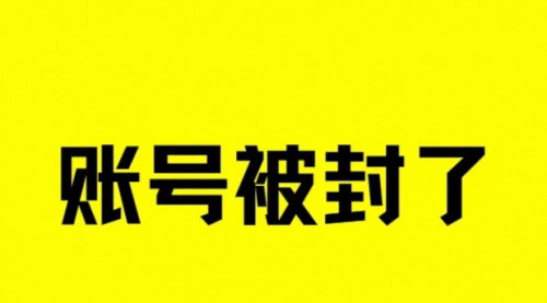 [支持免费下载]抖音小红书导流技巧：不封号引导加微信，一天干300粉的实战经验