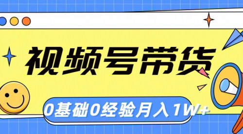 [支持免费下载]【视频号轻创业带货攻略】零基础月入1w+，简单操作开启副业之路
