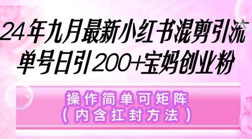 [支持免费下载]小红书宝妈创业粉引流攻略：日引200+，实现稳定月入50W