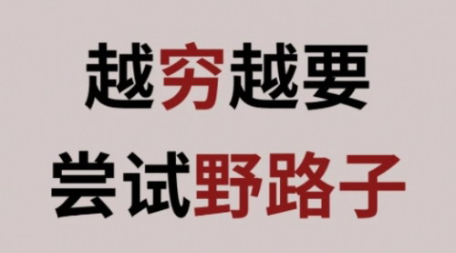 [支持免费下载]创意搞钱野路子：12个另辟蹊径的赚钱方法和5个不露脸直播赚钱技巧