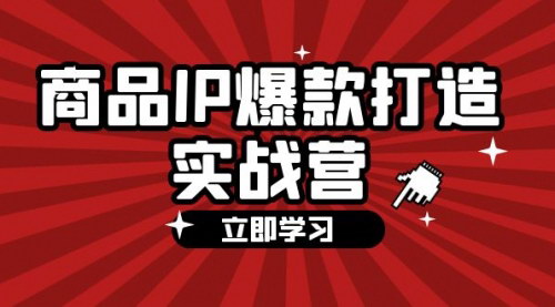 [支持免费下载]《商品IP爆款打造实战营：手把手教你打造爆款，实现全域爆款》