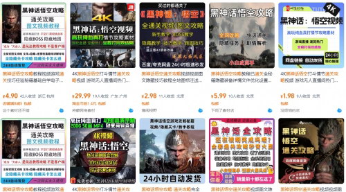 [支持免费下载]【2024年淘宝虚拟产品销售指南：从入门到精通】