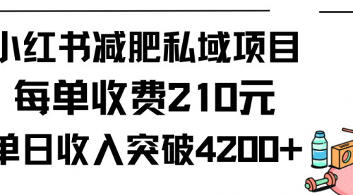 [支持免费下载]小红书减肥私域项目：日入4200+的副业机会，你准备好了吗？