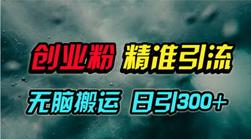 [支持免费下载]【视频号纯搬运引流】日引300+创业粉，轻松月入50W！