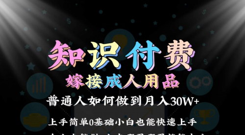 [支持免费下载]【2024年知识付费+成人用品变现攻略：普通人月入30万的保姆式教学】