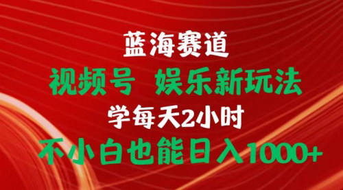 [支持免费下载]【视频号蓝海赛道】娱乐新玩法，每天2小时，小白日入1000+攻略