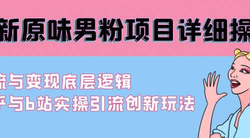 [支持免费下载]网络引流变现心法：知乎与B站实操引流创新玩法，原味男粉项目深度解析