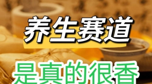 [支持免费下载]《养生茶项目：在小红书上实现闷声发大财的秘诀》