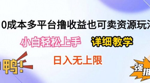 [支持免费下载]《2024年0成本多平台撸收益玩法：日入500+，保姆级教学附资源》