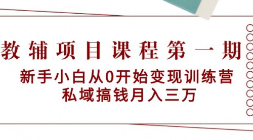 [支持免费下载]【教辅项目课程】新手小白从0开始，实现月入三万的抖音和小红书变现指南