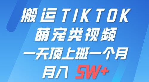 [支持免费下载]【2024萌宠视频赚钱攻略】一键搬运TIKTOK萌宠视频，轻松月入5W+