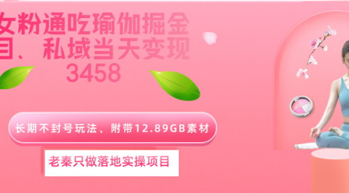 [支持免费下载]【男女通吃瑜伽项目揭秘】3天快速起号，私域当天变现3458元的数字营销攻略