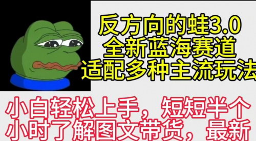 [支持免费下载]探索“反方向的蛙3.0”：图文新玩法与多元化变现策略（新蓝海项目解析）