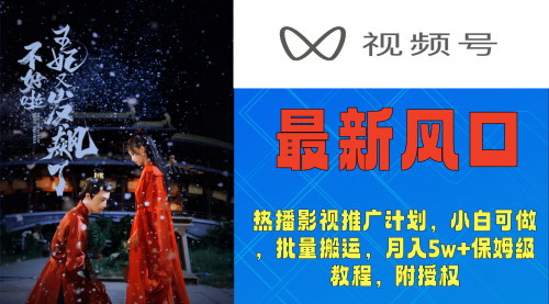 [支持免费下载]视频号影视推广攻略：小白批量搬运，月入5w+实操指南