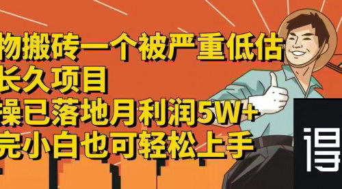 [支持免费下载]得物搬砖：一个被严重低估的长久项目，一单30-300+的利润空间