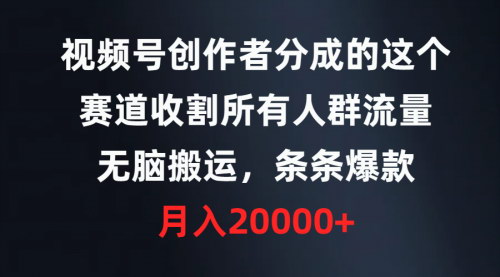 [支持免费下载]【视频号内容搬运攻略】无脑操作，收割海量流量，轻松月入20000+