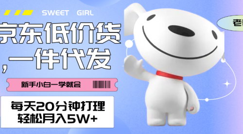 [支持免费下载]【京东低价货一件代发攻略】每天20分钟，轻松月入5W+