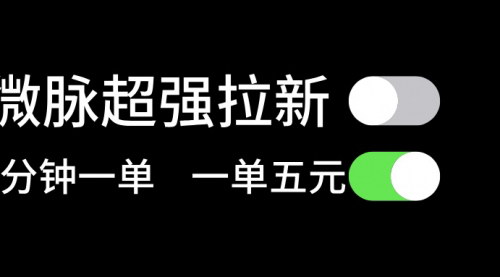 [支持免费下载]微脉超强拉新：两分钟1单，一单利润5块，适合小白项目详解