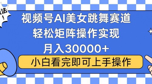[支持免费下载]《视频号蓝海赛道玩法：当天起号，拉爆流量收益，轻松月入30000+》