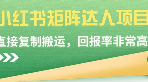 [支持免费下载]【小红书矩阵达人项目全攻略】高效复制搬运，实现高回报率的数字营销秘籍
