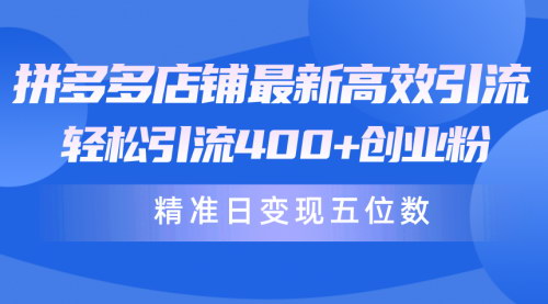 [支持免费下载]【2024年拼多多店铺引流攻略】轻松引流400+创业粉，精准日变现五位数！