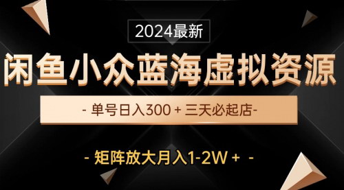 [支持免费下载]《最新闲鱼小众蓝海虚拟资源：单号日入300+，三天必起店，矩阵放大月入1-2W》