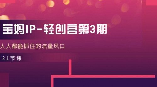 [支持免费下载]《宝妈IP轻创营第3期：打造高价值IP，掌握流量风口》