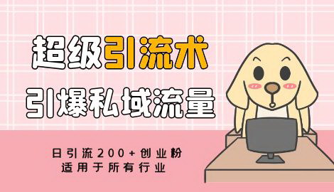 [支持免费下载]超级引流术：每天几百私域流量，让你的私域流量停不下来