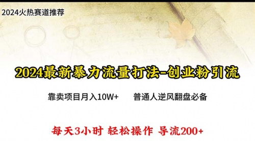 [支持免费下载]【2024年互联网创业】暴力流量打法，每日导入300+，月入10W+的秘密