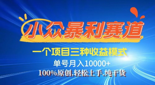 [支持免费下载]【2024年9月视频号爆火赛道：老人言引领中老年市场变现新趋势】