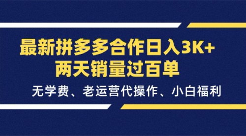 [支持免费下载]《拼多多代运营合作：日入3K+，无学费，老运营带你轻松开店》
