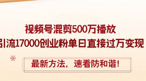 [支持免费下载]视频号混剪引流秘籍：500万播放，轻松引流17000创业粉，月入23万实操教程