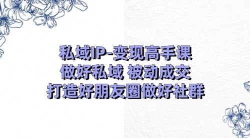 [支持免费下载]【私域IP-变现高手课】打造私域，实现被动成交，提升朋友圈变现力