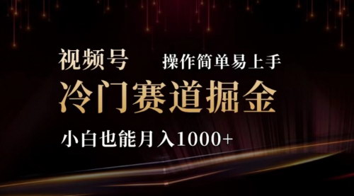 [支持免费下载]《2024视频号冷门赛道掘金：操作简单轻松上手，月入10000+》