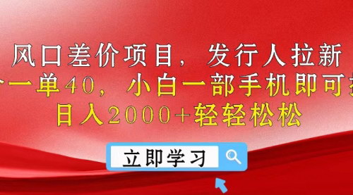 [支持免费下载]【轻松日入2000+】风口差价项目：小白手机操作，一单赚40元