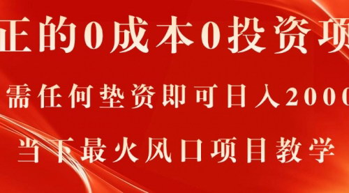 [支持免费下载]《0成本0垫资电商平台项目：月入过万的实操指南》