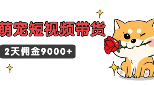 [支持免费下载]【萌宠短视频带货攻略】2天佣金9000+，宠物经济新风口下的赚钱秘籍