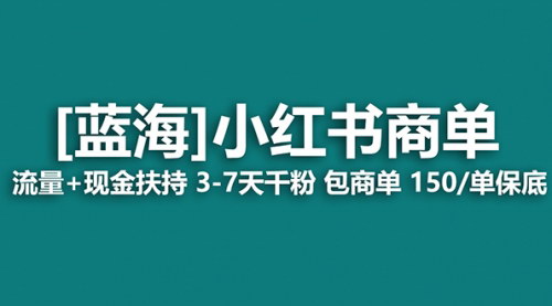 [支持免费下载]小红书蓝海商单项目：快速涨粉，轻松月入过万实操教程