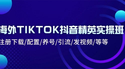 [支持免费下载]《2024年海外TIKTOK抖音精英实操班：从入门到精通的全面指南》