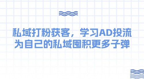 [支持免费下载]【私域流量攻略】掌握AD投流技巧，为你的私域囤积高质量粉丝