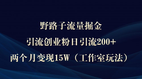 [支持免费下载]野路子流量掘金：日引流200+，两个月变现15W，揭秘创业粉引流秘籍