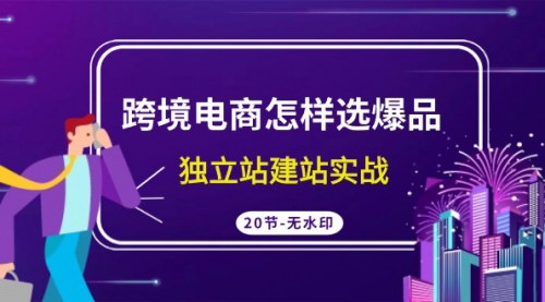 [支持免费下载]【跨境电商爆品选品攻略】独立站建站实战，全方位解析选品与运营技巧